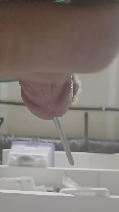 Sounding hard cock and cumming