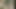 9 Months Pregnant Wife Bihari Wife Sex Video