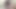 Cervix for Namsei (close-up)