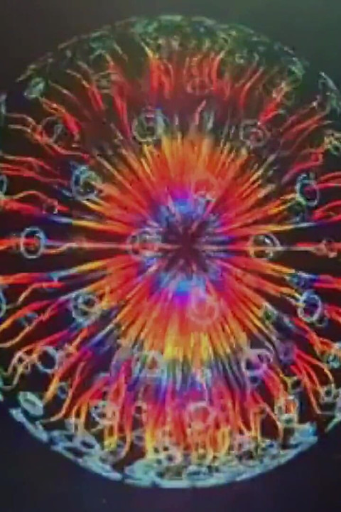 Cashmaster Mental Massage Portuguese