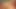 Euro-Gesichtsbesamung 116