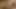 Rigid3d Sexy Big Ass in Doggy Style - Intense Anal with Explosive Cumshot All Over Her Body