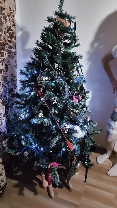 新年仙子的肛门钩