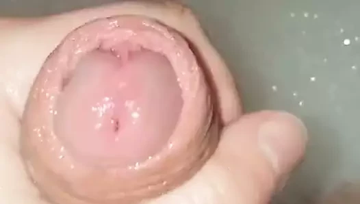 Ich