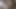 Blowjob From A Very Experienced MILF