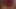 Bbw-redbone