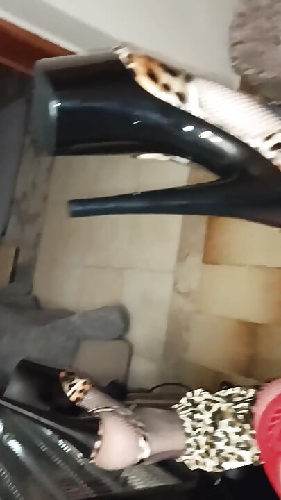 Fuck My Cat