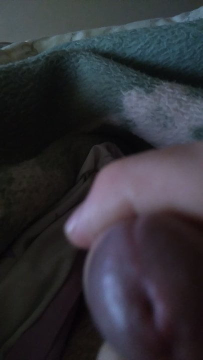 mi polla