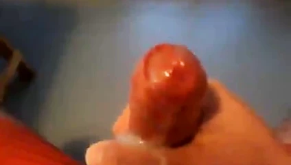 Wix meinen Schwanz