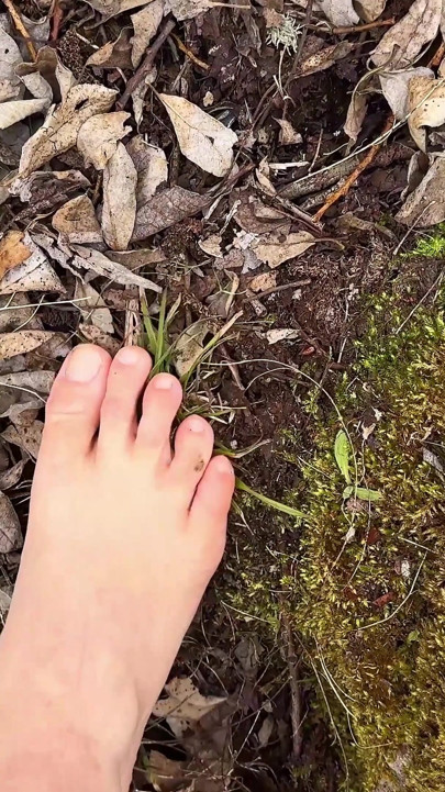 Barefoot Walk in the Forest - Foot Fetish - Bare Feet!
