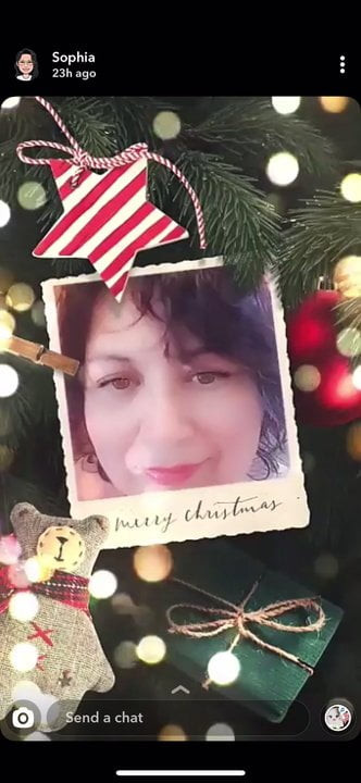 Loves2showall Christmas Cheer