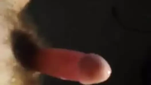 benim dik horoz