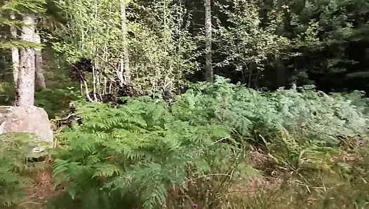 Scottish Quickie