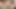 Tattooed Trans Girl Cum Playing with Her Hole and Dick