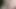 A whore’s dedication to satisfy me with her mouth on my penis.