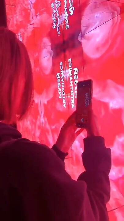 videoclip lil_fleur