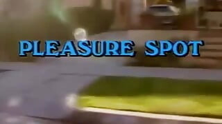 Classic Porn DVDs