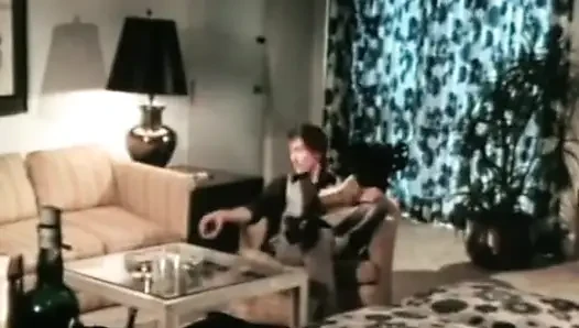 Klassische Porno-Dvds: die Jade-muschicat: Teil 6