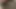 Fat hairy fuck slut pisses and fucks herself with the dildo