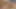 Hairy masturbation