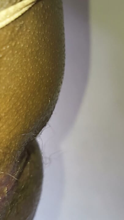 Dildo ile anal sikme