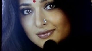 Komm auf das heiße Gesicht von Anushka Shetty