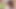 Slender Trans Ria Bentley Craving An Anal Creampie