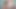 Trans babe couple tease bodies before bareback