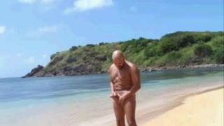 Oso calvo se masturba en la playa