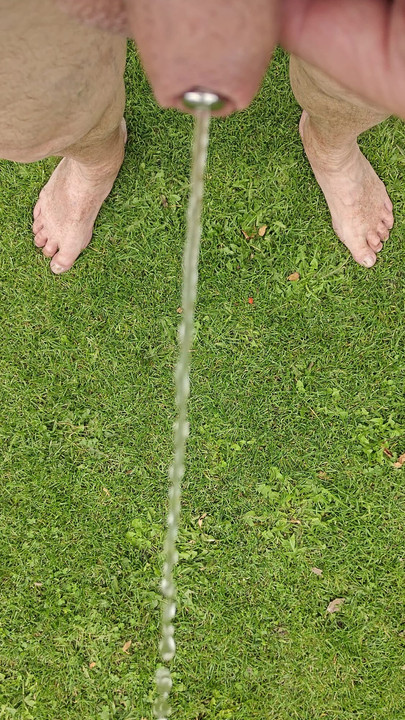 ฉี่ในสวน, กับปลั๊กภายใน