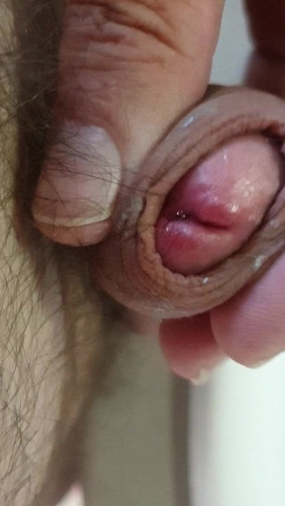Lil dick aussie