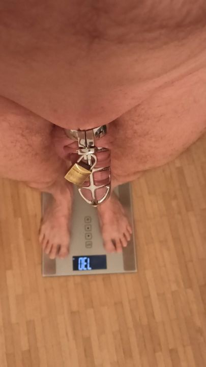 The weighing and cagecheck