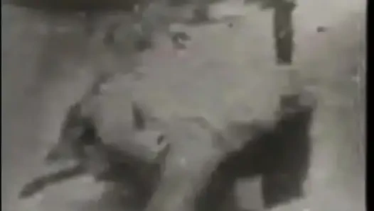 More Desire for Cock