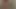 濡れた女の子がシャワーで自分の体を撫でる