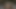 Mature Sucks, Licks and Deepthroats Black Dick