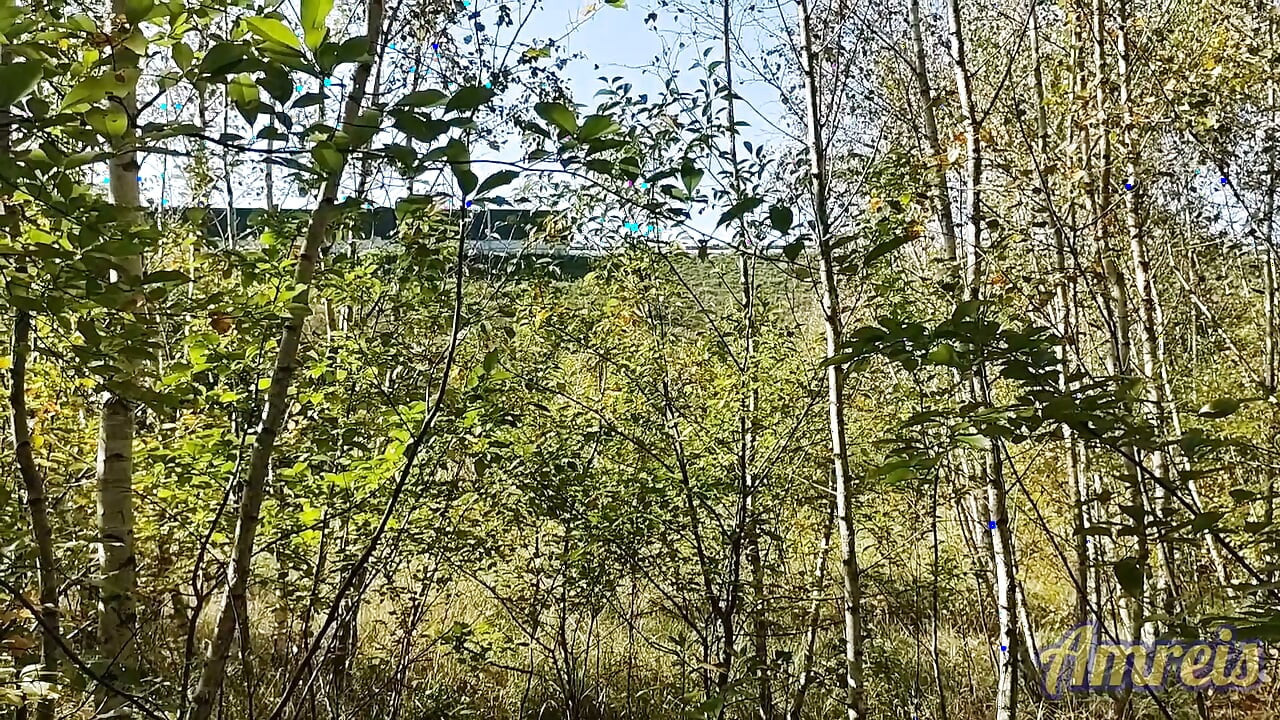 Jerking off in the woods near the highway. I almost got caught!