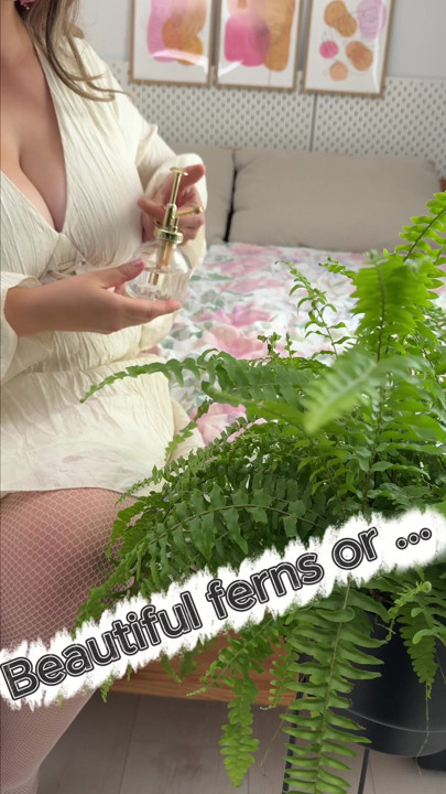 The lady of the house cares for her ferns as she does for her big body.