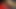 Attractive young woman gives head to a fake porn producer