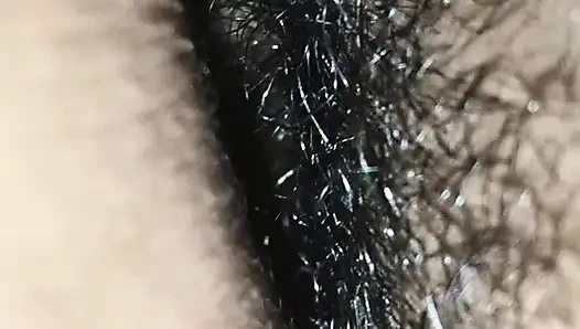 Бенгальская бабхи-траха Dasi Anil