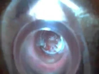 See Thry My Ass