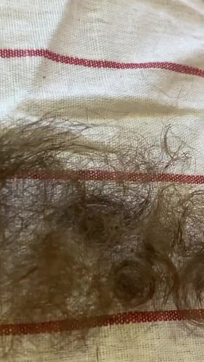 Hairy bush pussy hair cutting | Clip 2