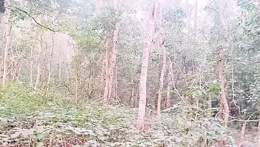 Desi Outdoor Jungle Sex