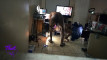 Pregled videozapisa