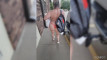 Pregled videozapisa