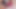 HINDI AUDIO STORY indian bhabhi sucking big cock of her devar and swallow all cum