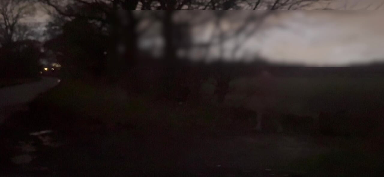 Berbogel dan bertelanjang bersembunyi dari melepasi kereta melancap dan twerking