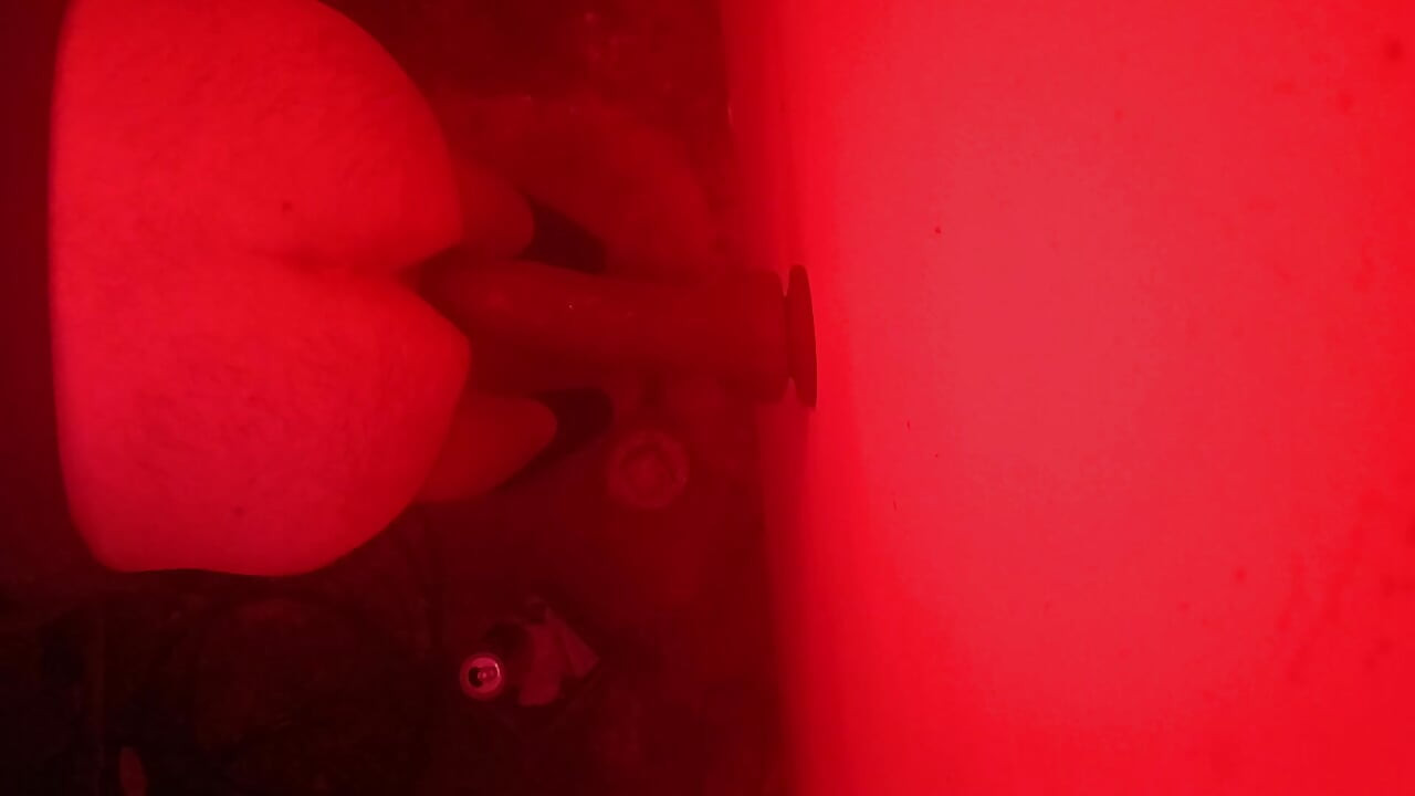 Sissy Training