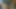 Grupa napaljenih cura drka zajedno