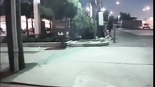 Cewek kulit hitam dengan memek berbulu lagi asik nyepong dan ngentot kontol cowok kulit putih