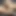 The Guy Gave His Girlfriend a Relaxing Massage and Brought Her to Orgasm with His Tongue and Fingers